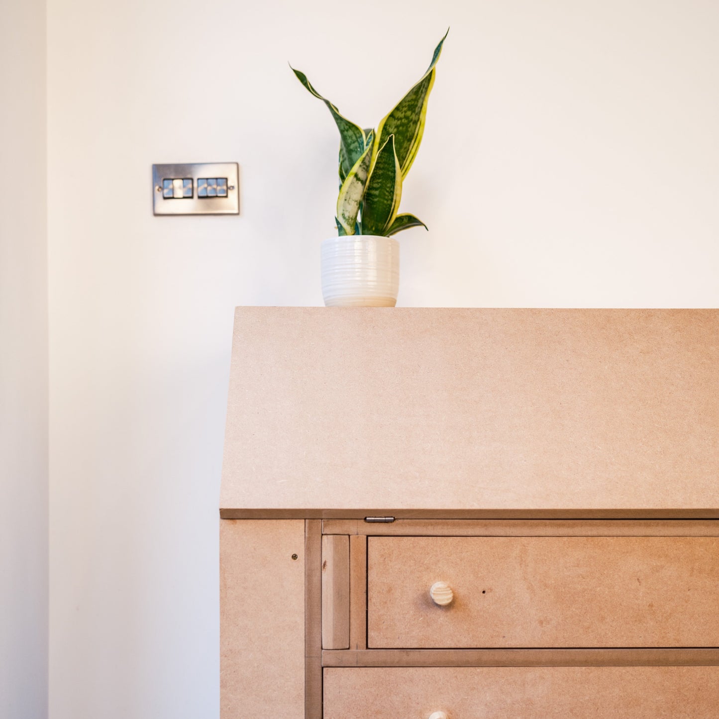 Bjoro V1 / Limited 10 Unit Run